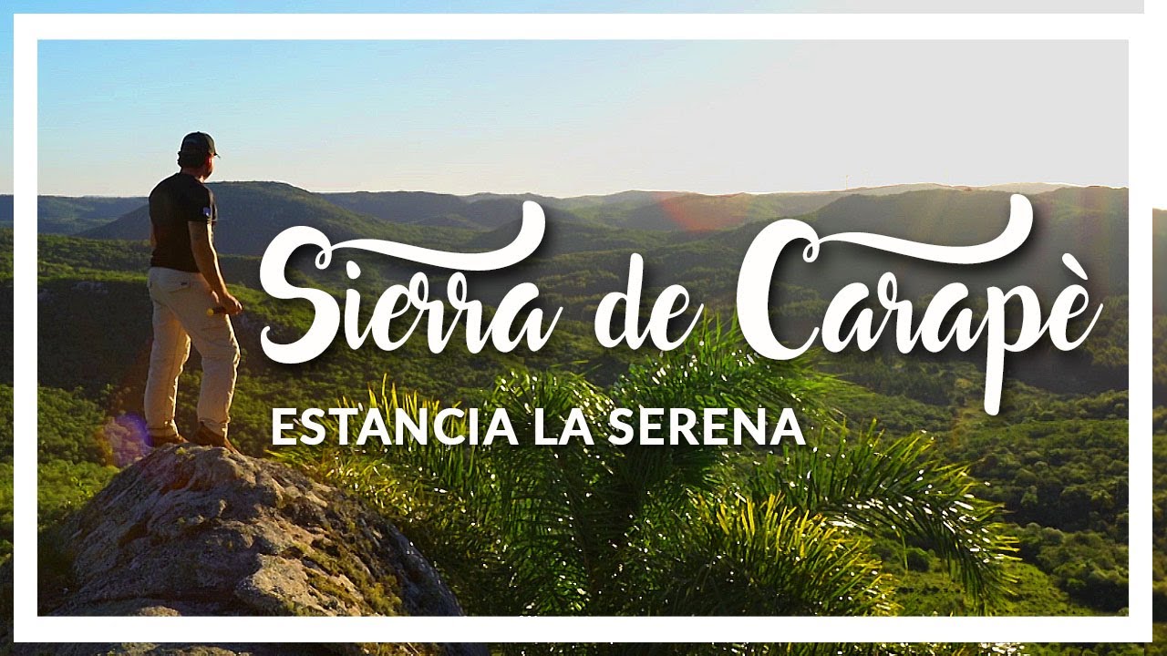 🔹 Sierra de Carapé, en busca del HONGO AZUL, estancia La Serena, Maldonado URU 🔹 programa Contacto🌎🌍