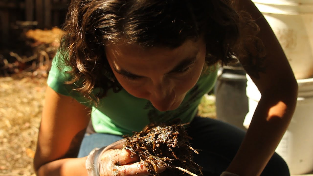 How a Bag of Mushrooms Can Clean A Polluted River