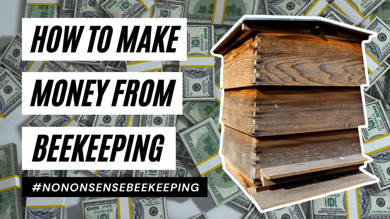 How to Make Money from Bees – Real Ways Beekeepers Earn Income Part 1