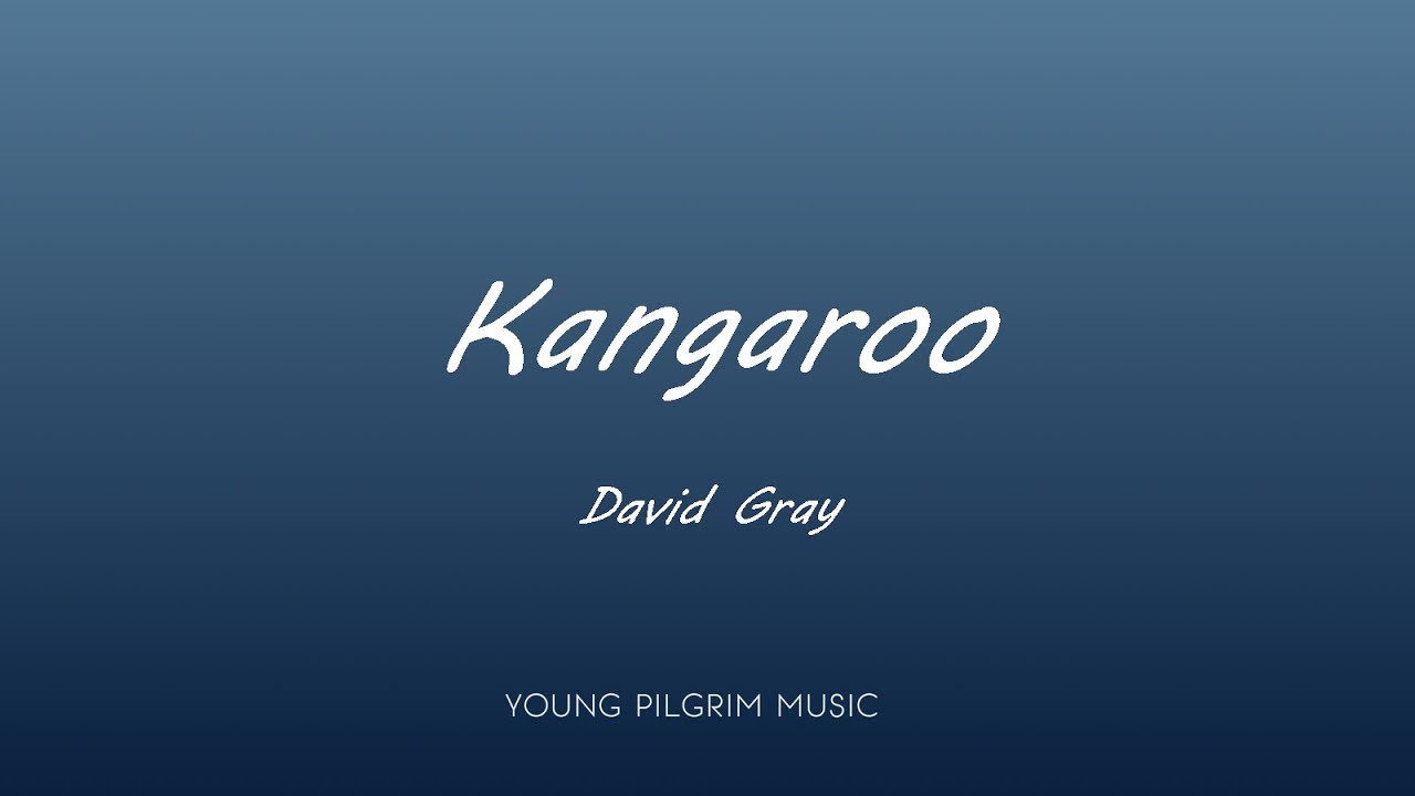 David Gray - Kangaroo (Lyrics) - A New Day At Midnight (2002)