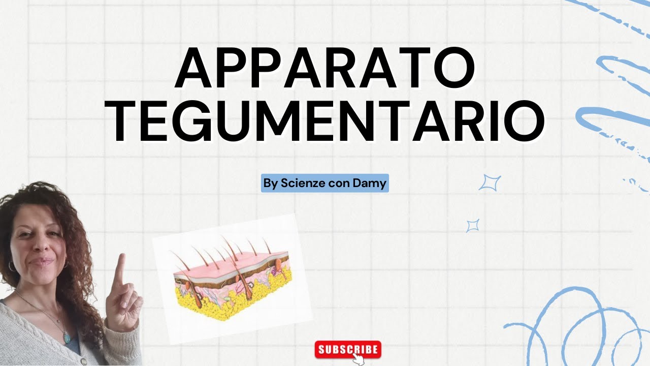 APPARATO TEGUMENTARIO Scienze, scuola media, riassunto pelle, annessi cutanei , ghiandole.