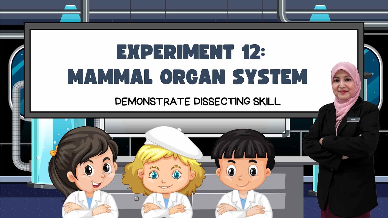 EXPERIMENT 12: MAMMAL ORGAN SYSTEM PRE LAB DISCUSSION