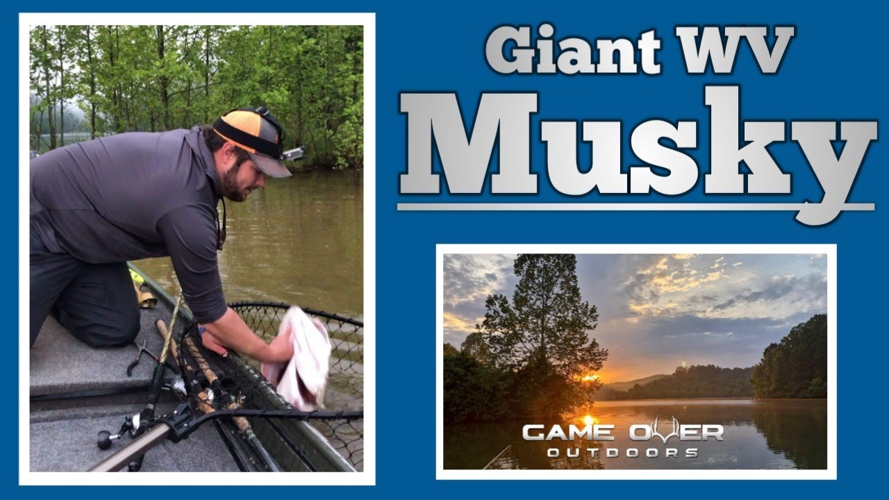 Stonewall Jackson Lake Musky