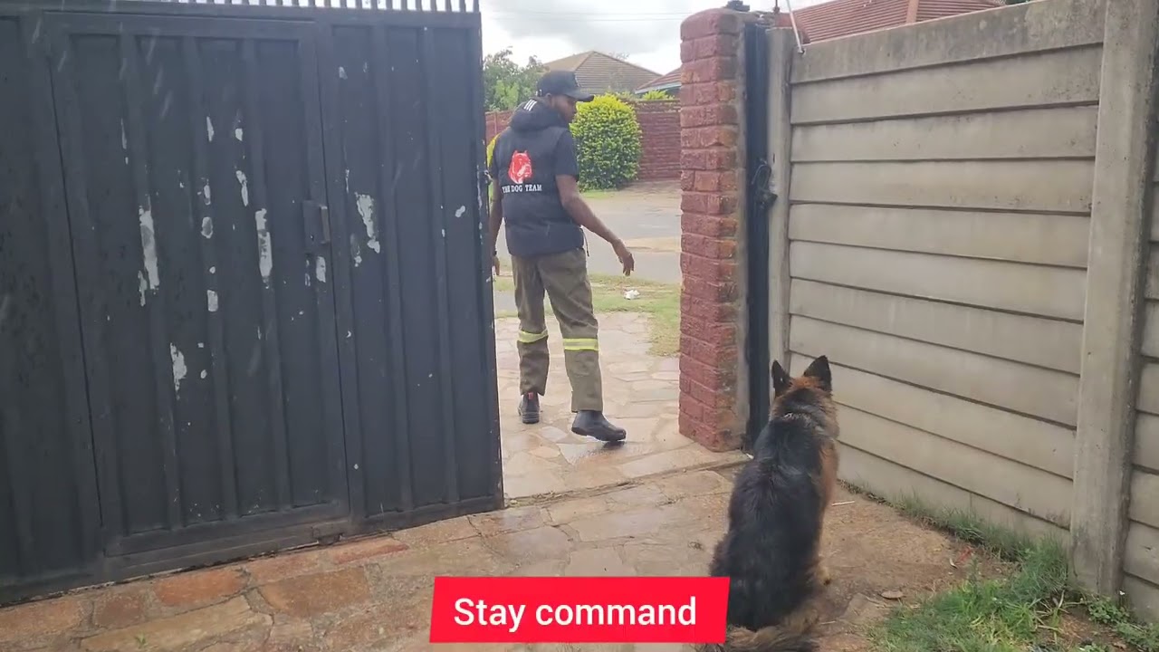 Before and After Training 