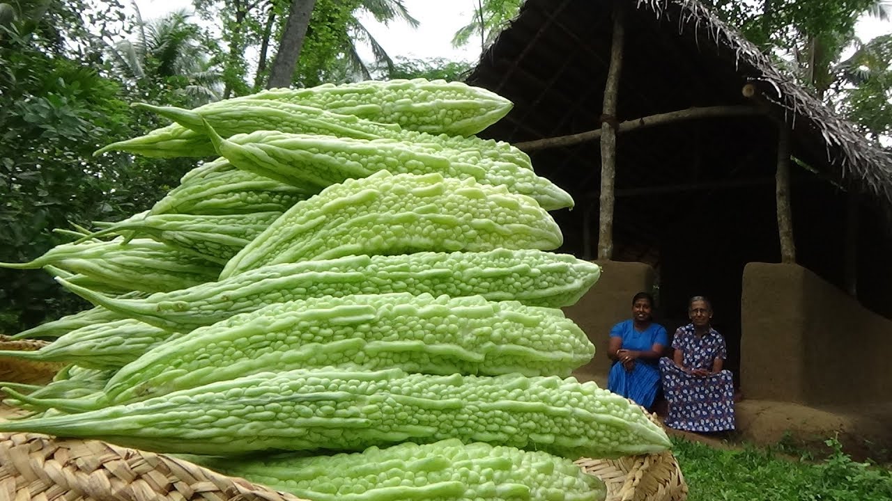 Healthy Bitter Gourd Curry by Grandma and Daughter | Village Life