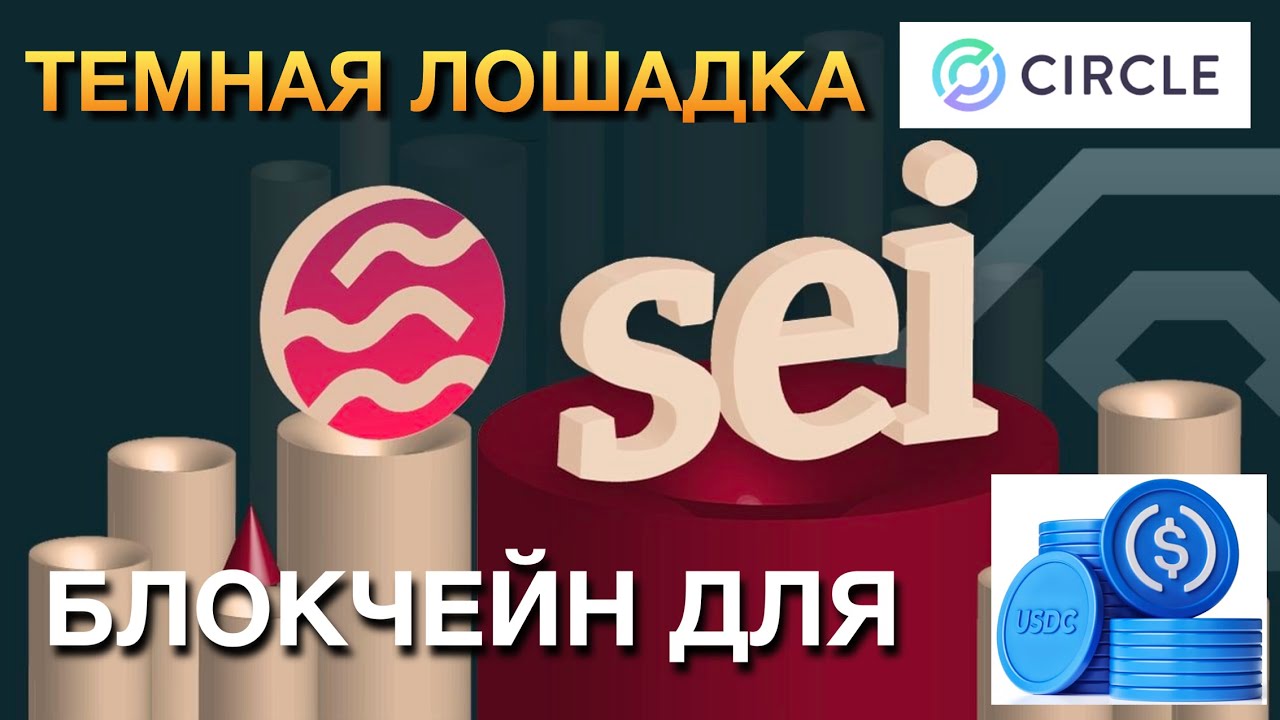 SEI NETWORK - ИКСЫ ОБЕСПЕЧЕНЫ?!