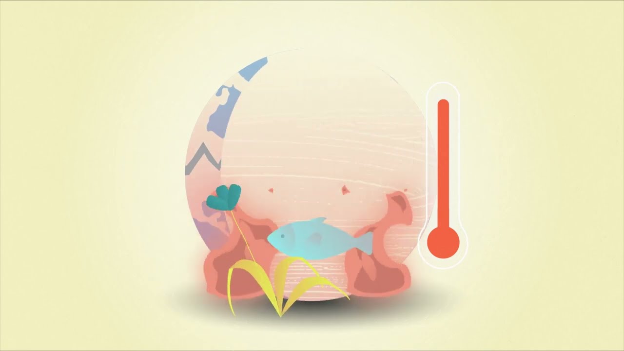VIDEO DE DIVULGACIÓN DEL PROYECTO CAPTA