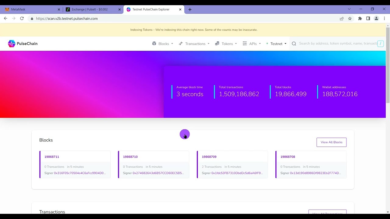 Getting Loan token on MetaMask and PulseX DEX tutorial!