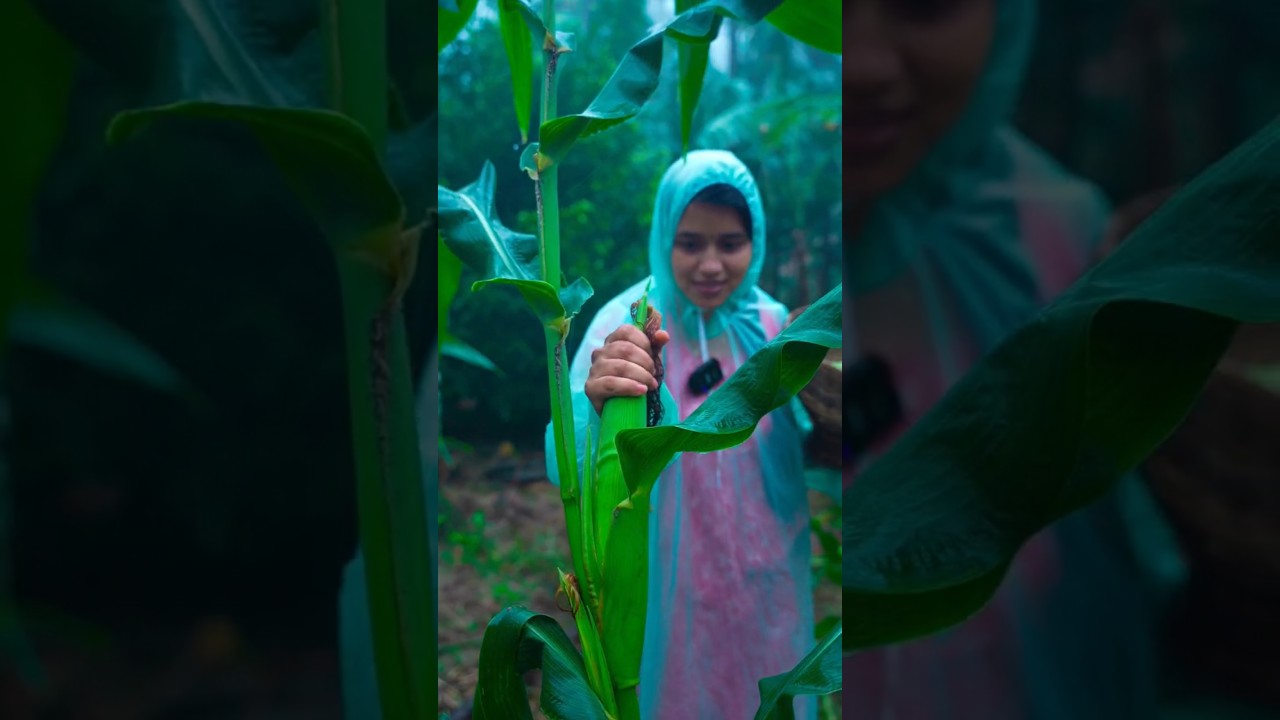 മഴക്കാലം.... #saranyasbeautyvlogs