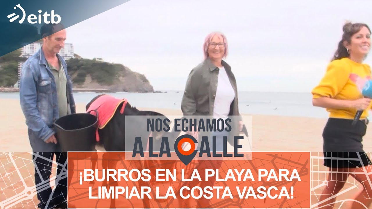 ¡Burros en la playa para limpiar la costa vasca!