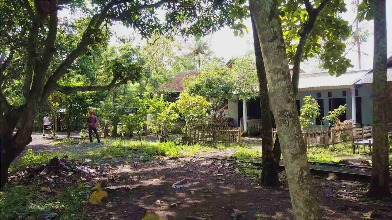 HALTE TANGSIL atau STASIUN TANGGARANG? Penyusuran Sisa Rel di Tenggarang Bondowoso