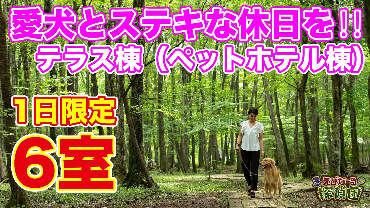 【１日限定６室】わんちゃんと一緒に宿泊できるテラス棟紹介❗️