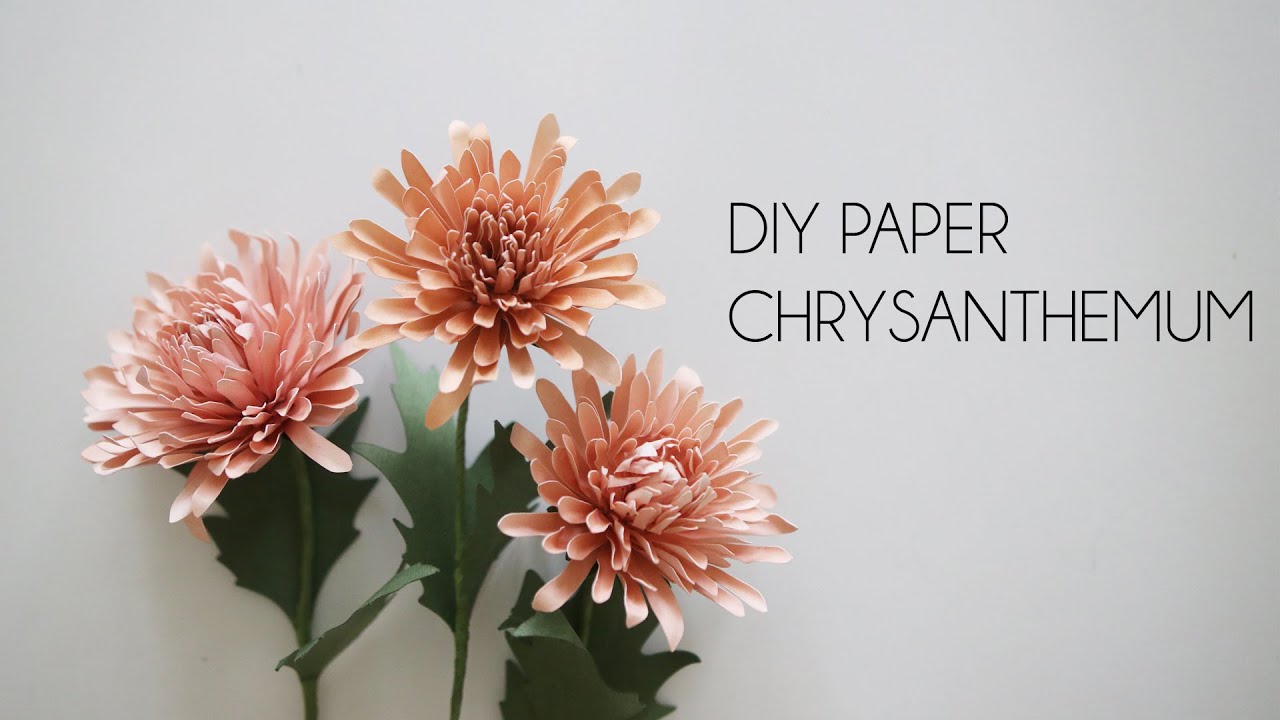 How to make paper Chrysanthemum (DIY Paper flowers, mums, crafts)