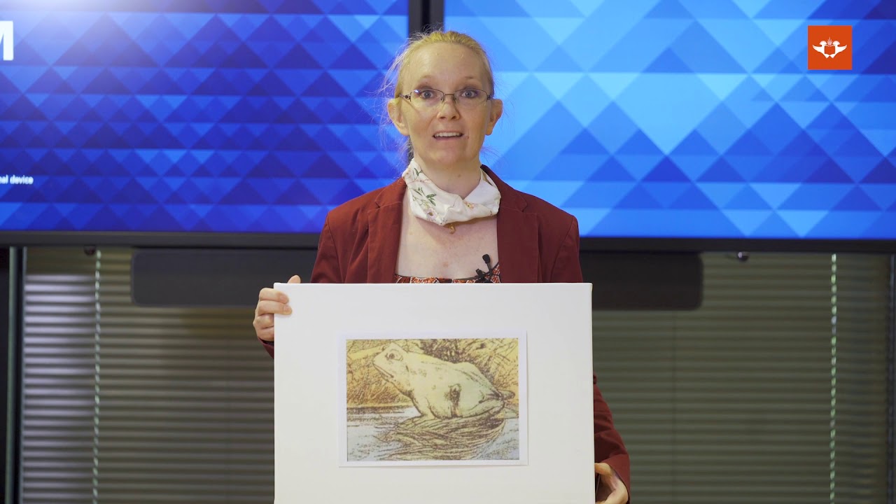 Politics & International Relations  Prof  Suzy Graham