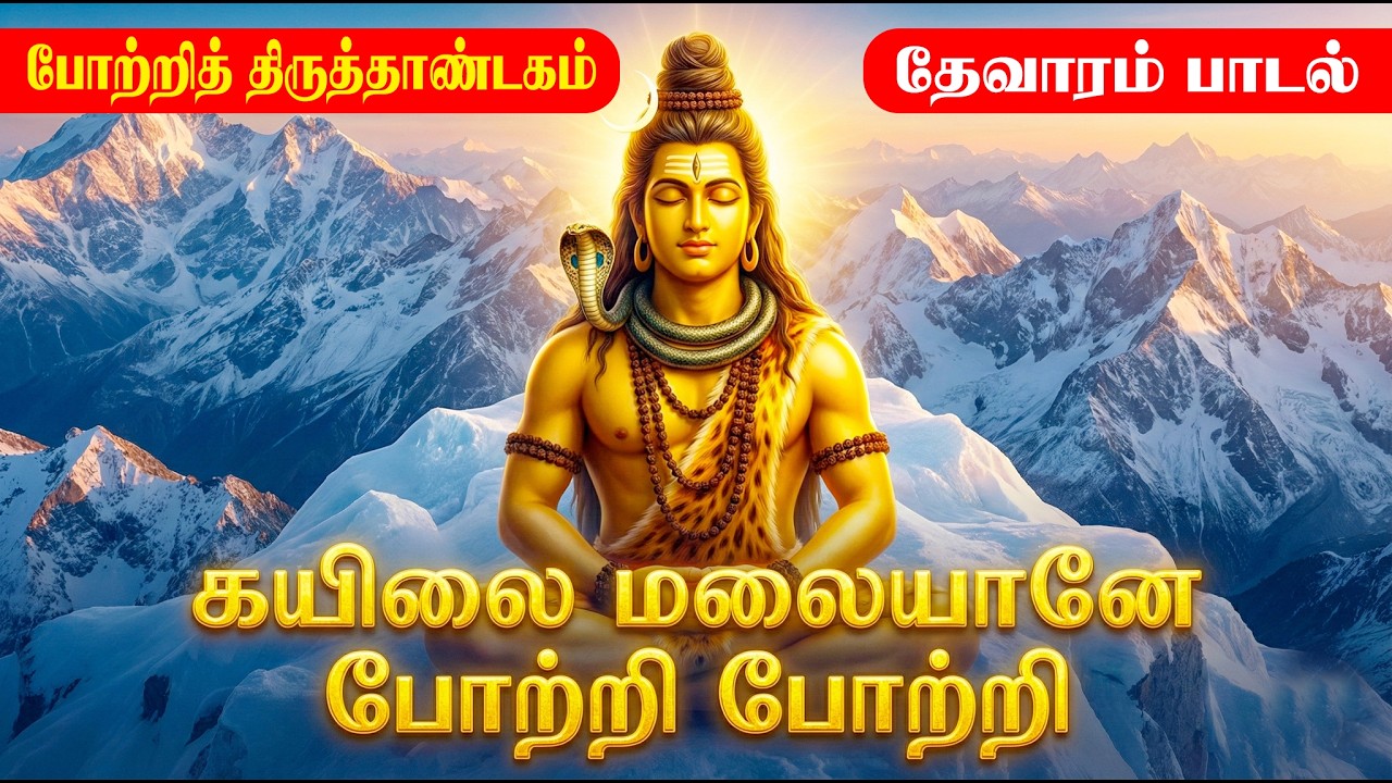வேற்றாகி விண்ணாகி நின்றாய் போற்றி |  Potri Thiru Thandagam | Thirunavukkarasu Swamigal | Thevaram