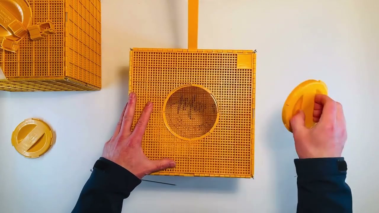 Multibox- Schwarmbox, Schwarmkiste zusammenbauen