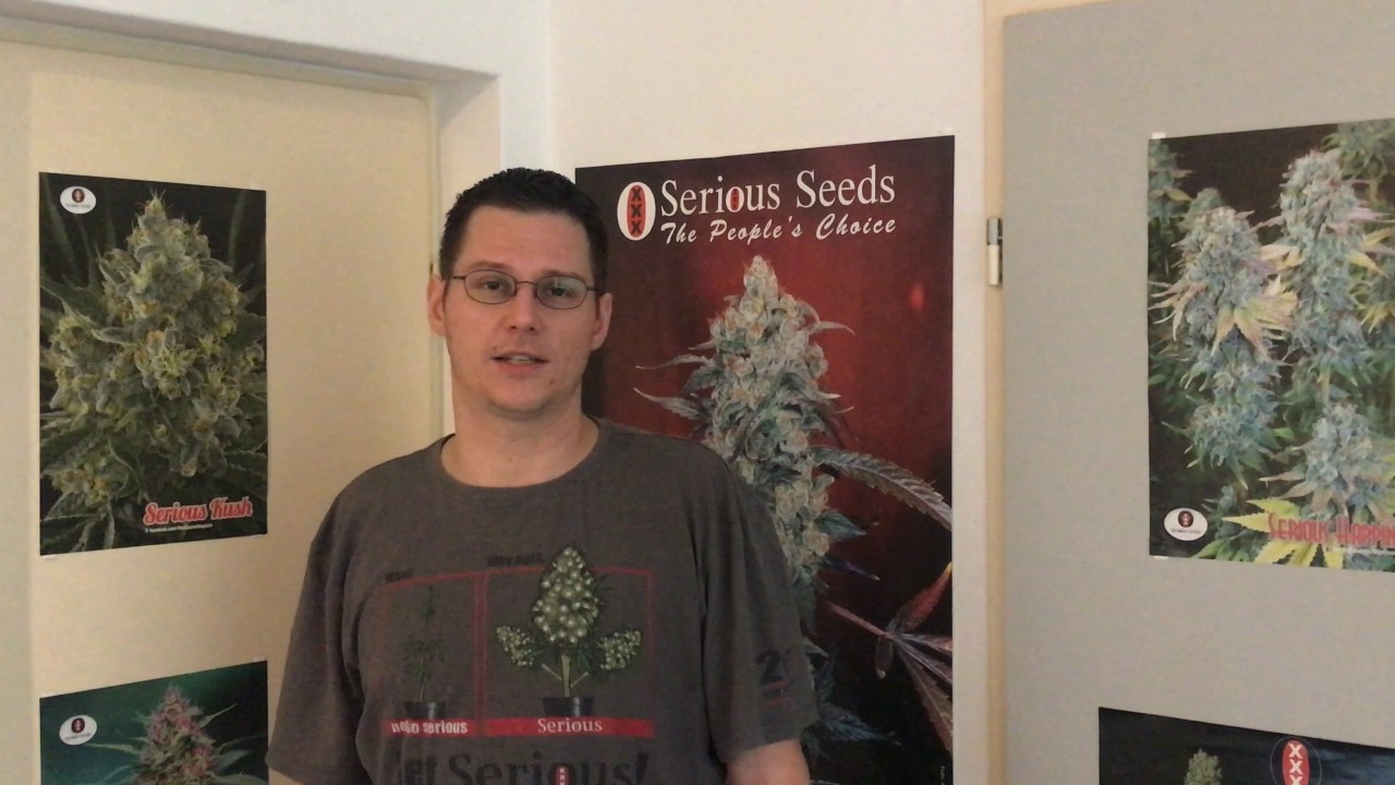 Thomas, Serious Seeds - CleanLight user since 2010!