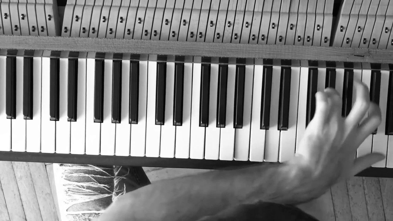 Ara for Petrof Pianos!