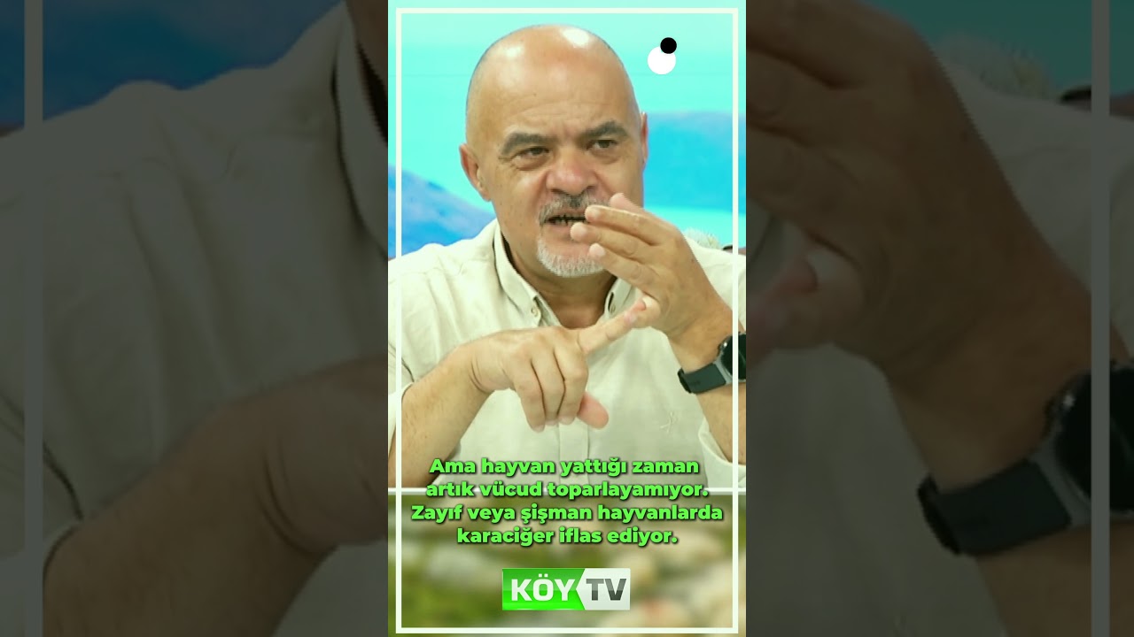 Gebelik Toksemisi Nedir? l Erol Arslan'la Küçükbaş Sağlığı