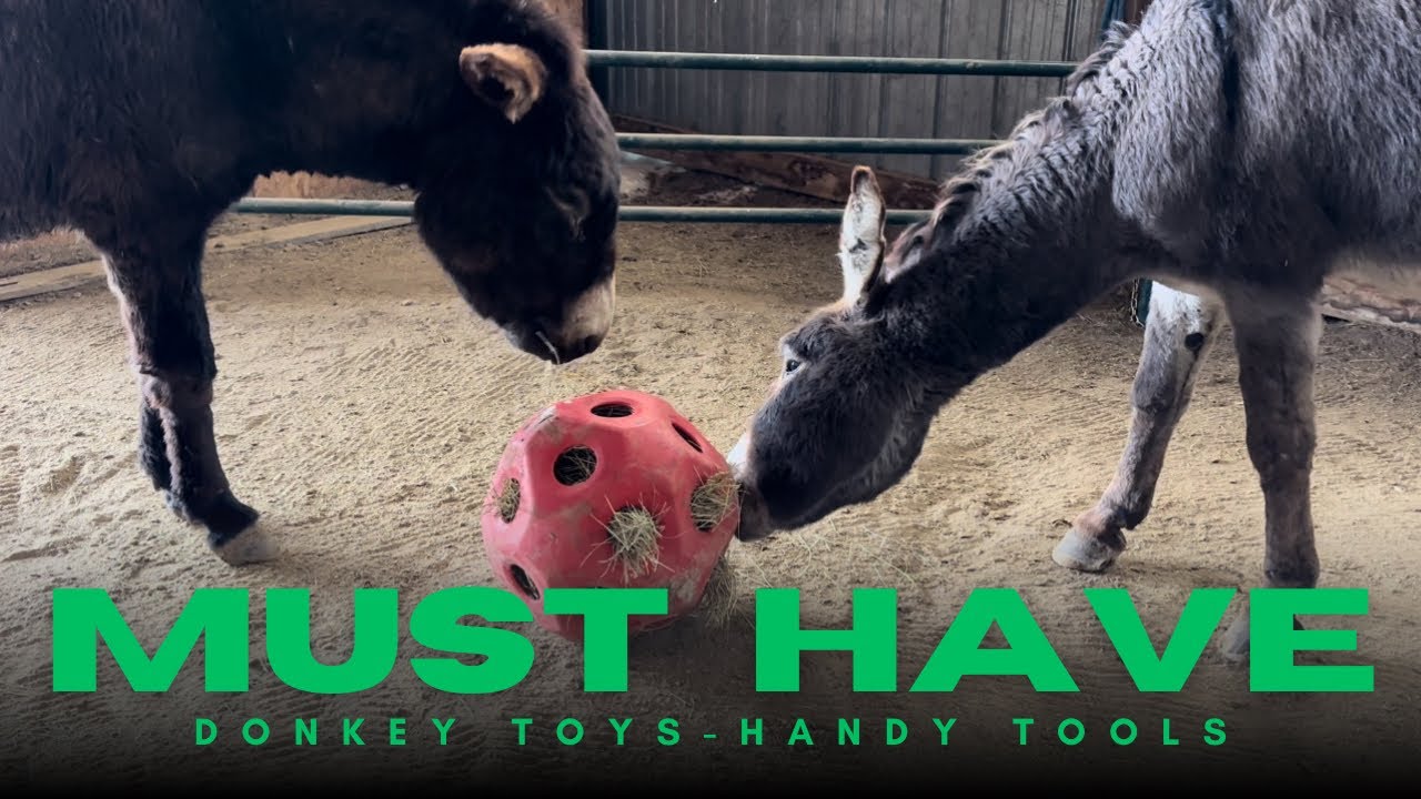 Best Toys and Tools on the Farm to Make Your Life Better!