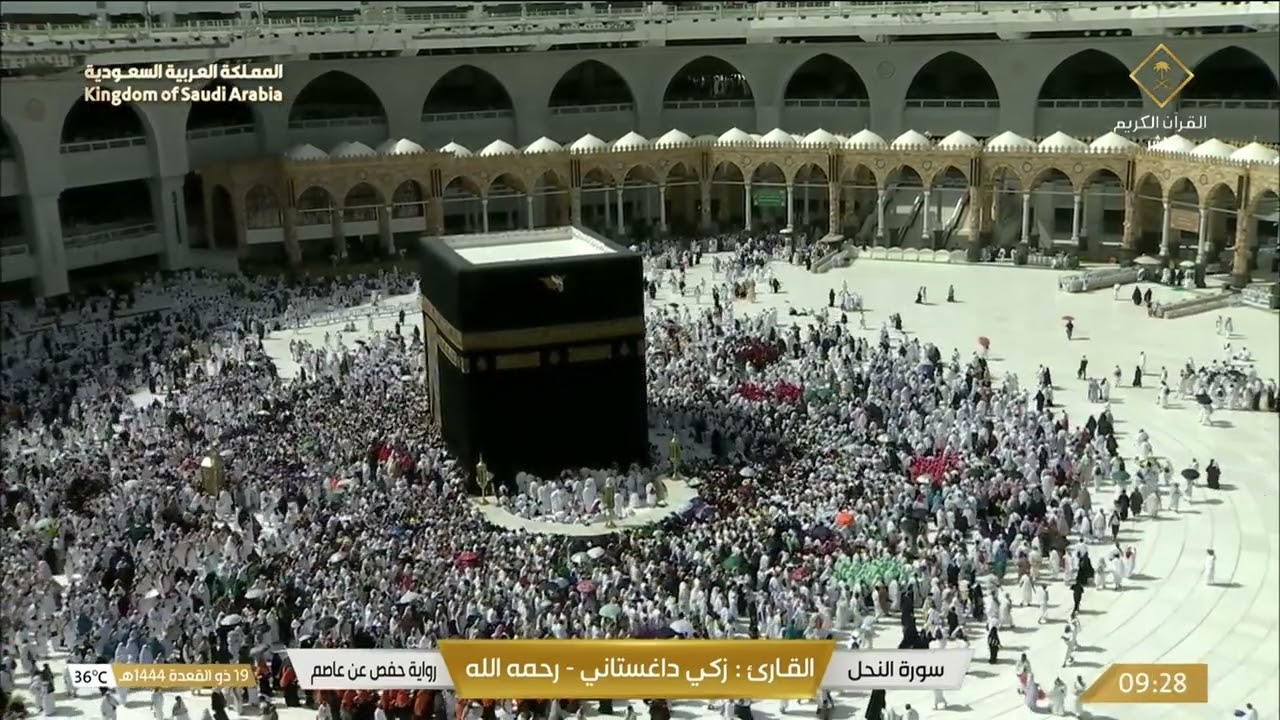سورة النحل بصوت القارئ زكي داغستاني