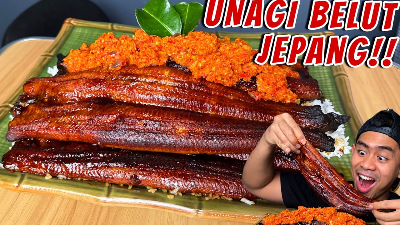 MUKBANG UNAGI BELUT JEPANG UKURAN JUMBO!!