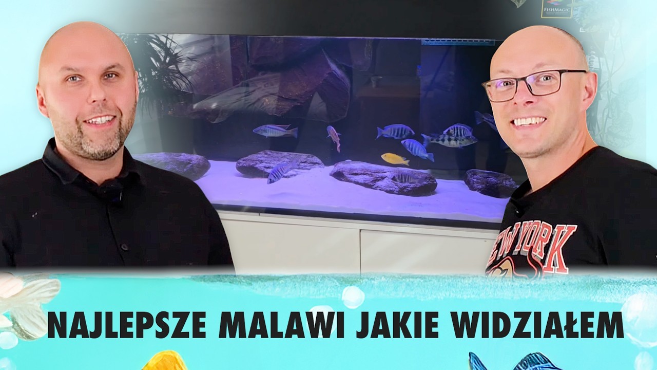 Odwiedziłem Akwarium MALAWI w Białymstoku – Szok, jak to działa!