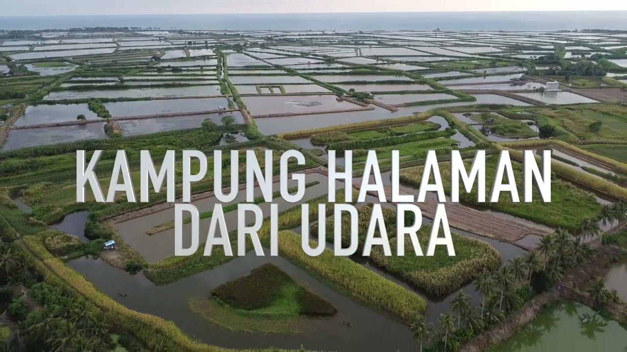 SALIPOLO DARI UDARA