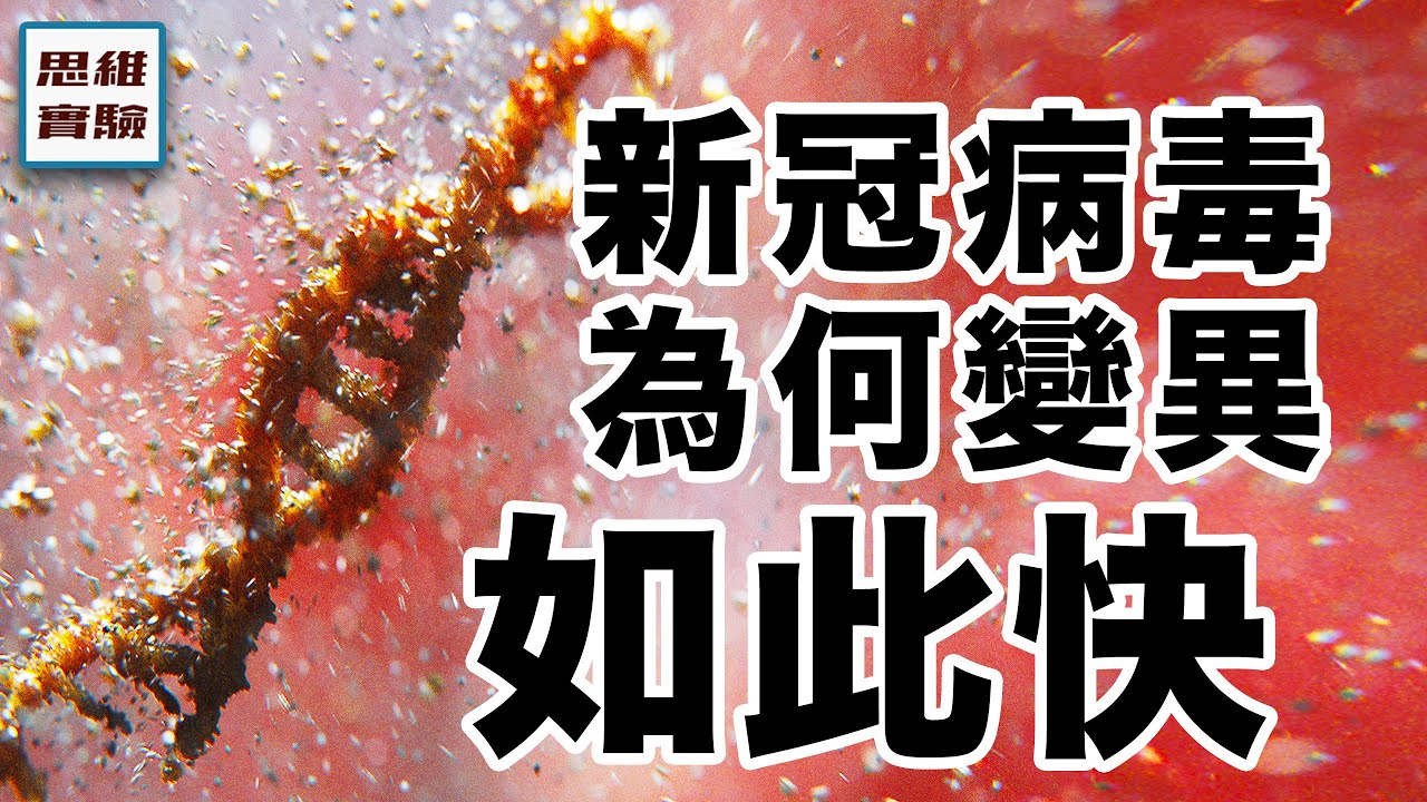 看病毒如何借刀殺人：你的免疫系統可能會殺死你！｜病毒入侵+炎症風暴｜思維實驗室&middot;合集