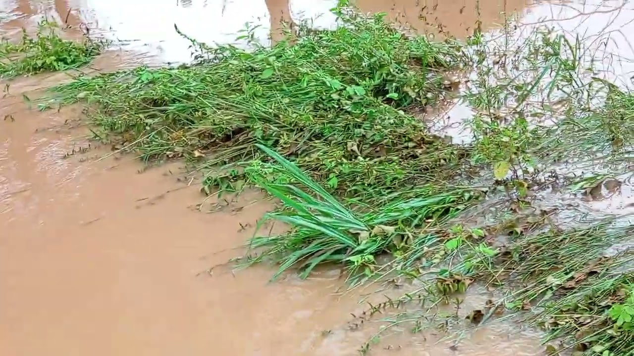 CHUVA BOA NO NOSSO SUDOESTE BAIANO / barragem de Zé Cotrim 