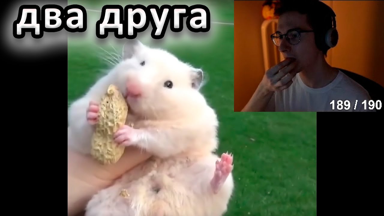 ест свои пальцы и смотрит видосики | ОЛЁША  |