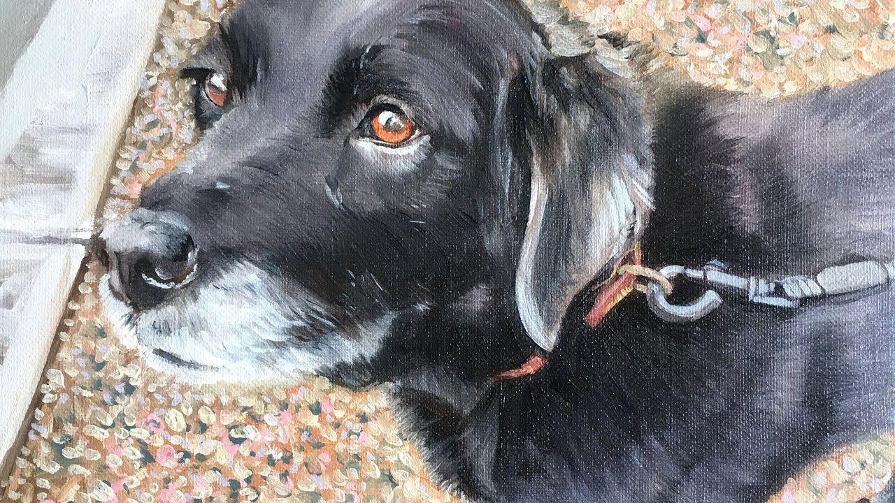 Black Lab : Time Lapse Oil Painting by Jamie Belton