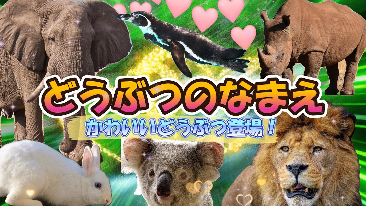 【どうぶつのなまえ】かわいいどうぶつを紹介！すきなどうぶつはみつかるかな？