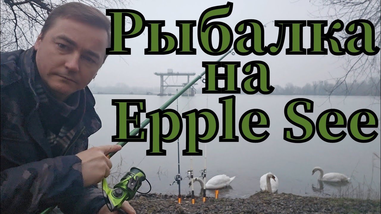 Активная рыбалка 🎣 на Epple See на опарыш и кукурузу #рыбалка #fishing #angeln #pêche #pescado #see
