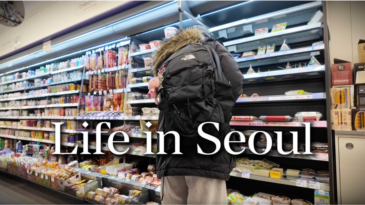 Life in Korea | PLANNING TRIP TO AMERICA 🇺🇸🦅 , snow duckies, personal training, rambling