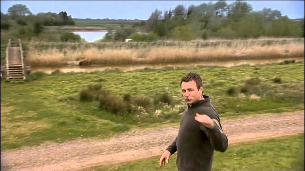 Rapeseed oil Producer Draining the Fens.