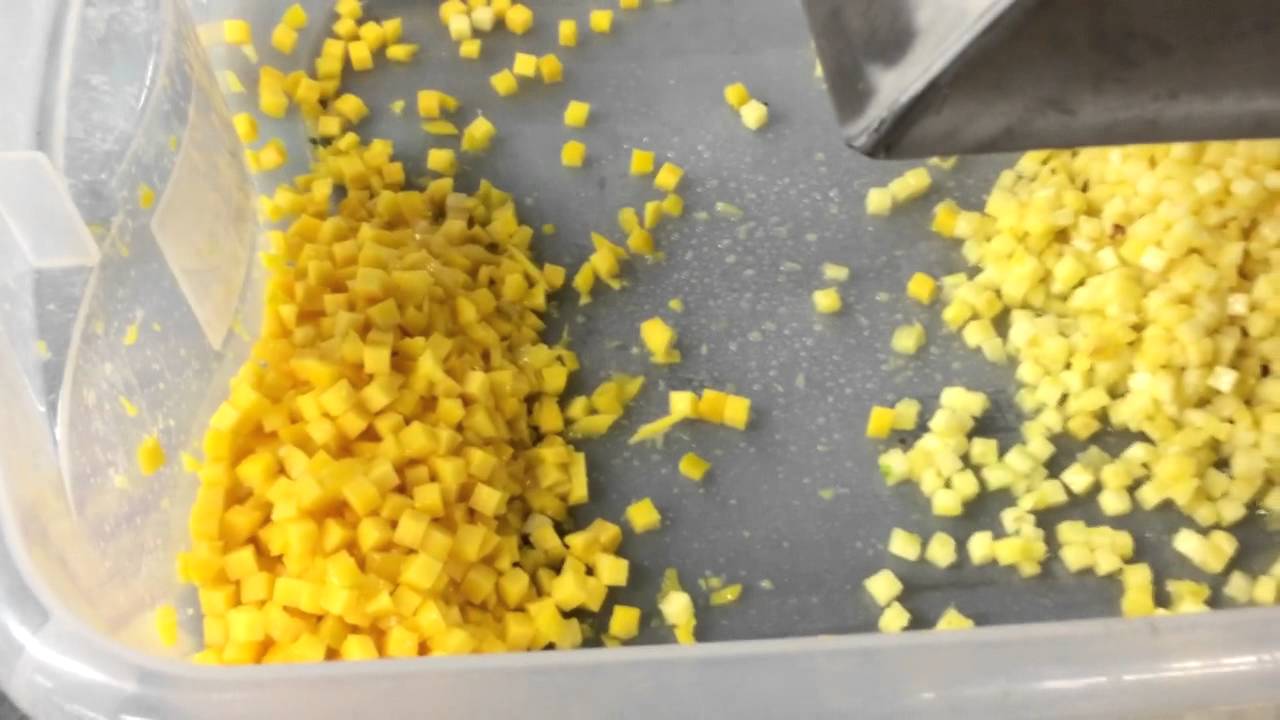 Urschel G-A DICER cutting mangoes