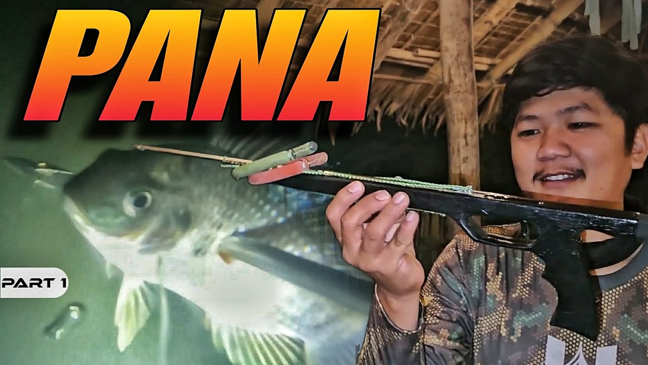 P1 - NIGHT SPEARFISHING