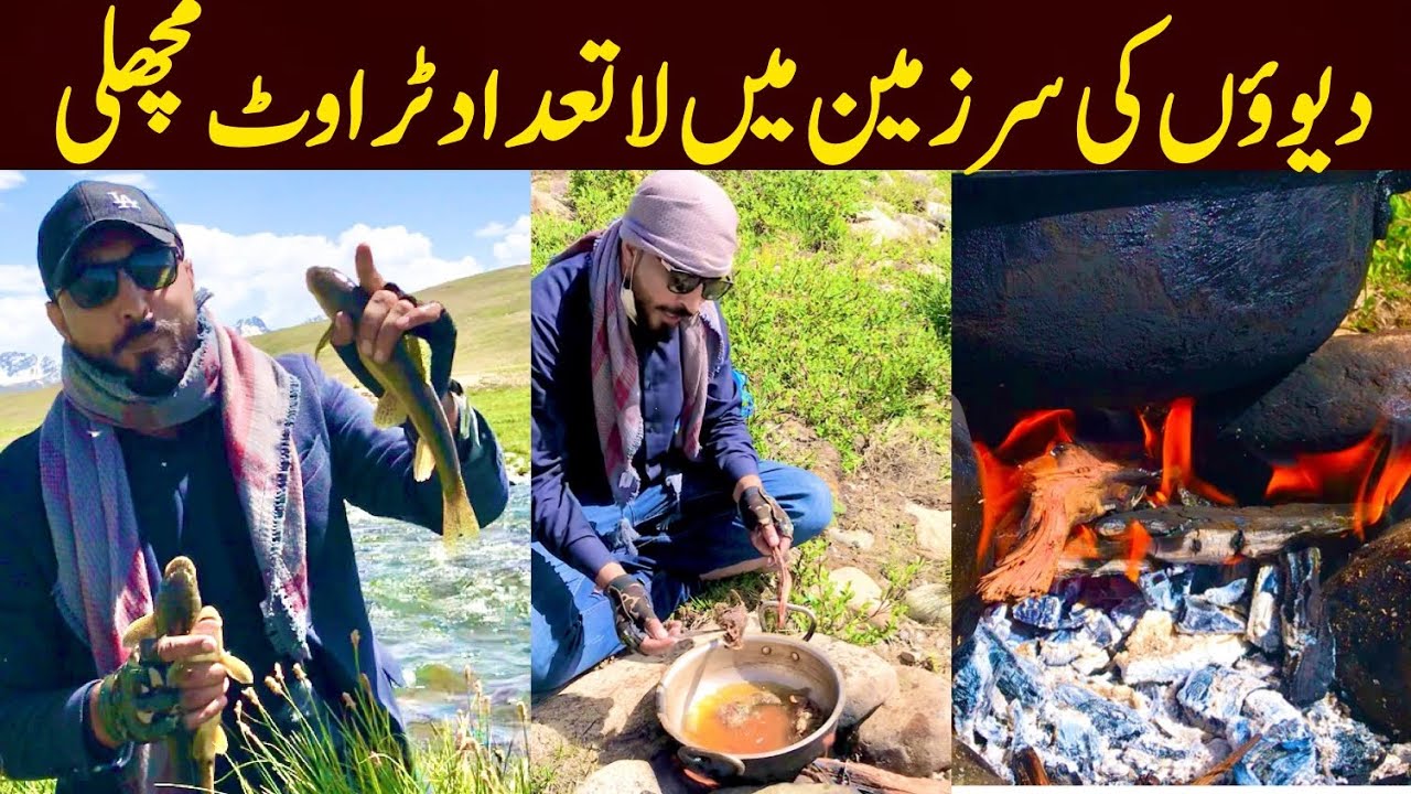 Deosai National Park | Fishing | the land of Giants | Gilgit Baltistan |Ehsas TV|