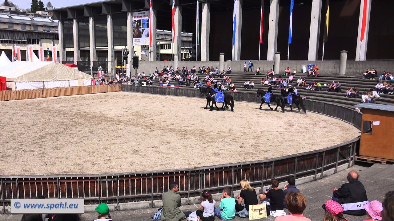 Friesenshow an der OFFA 2015, St.Gallen