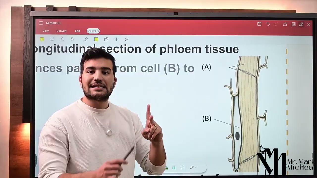 Homework | integrated science | Lesson 2 (Part1) 