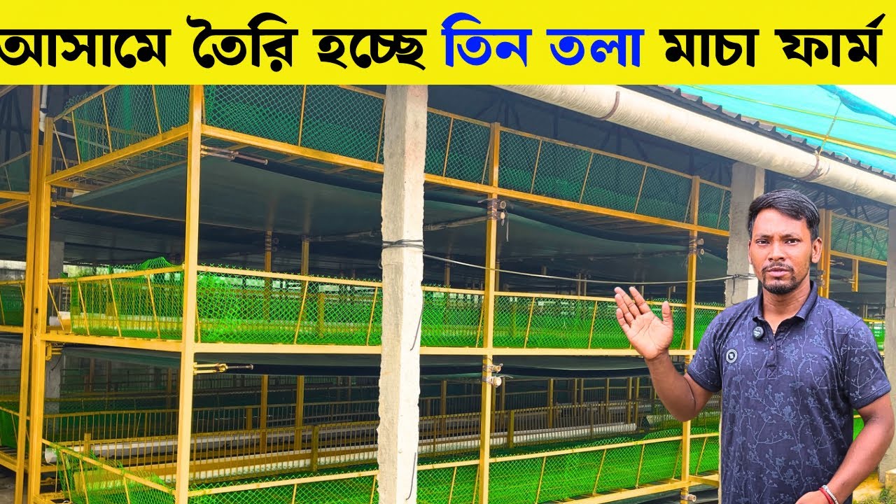 আসামে কিভাবে তৈরি হচ্ছে তিন তলা মাচা ফার্ম | Three Layers Poultry Cage Farm
