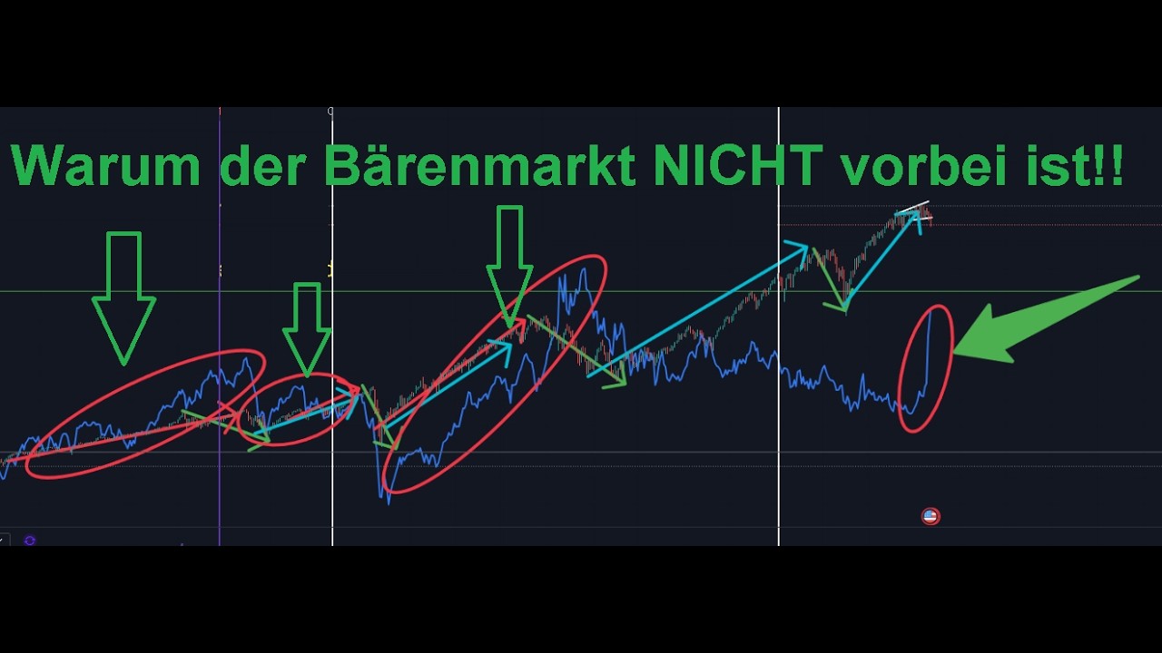 DUBIOS SPECULATIONS #25. Das letzte Puzzlestück ist da!! Warum der Bärenmarkt nicht vorbei ist!!