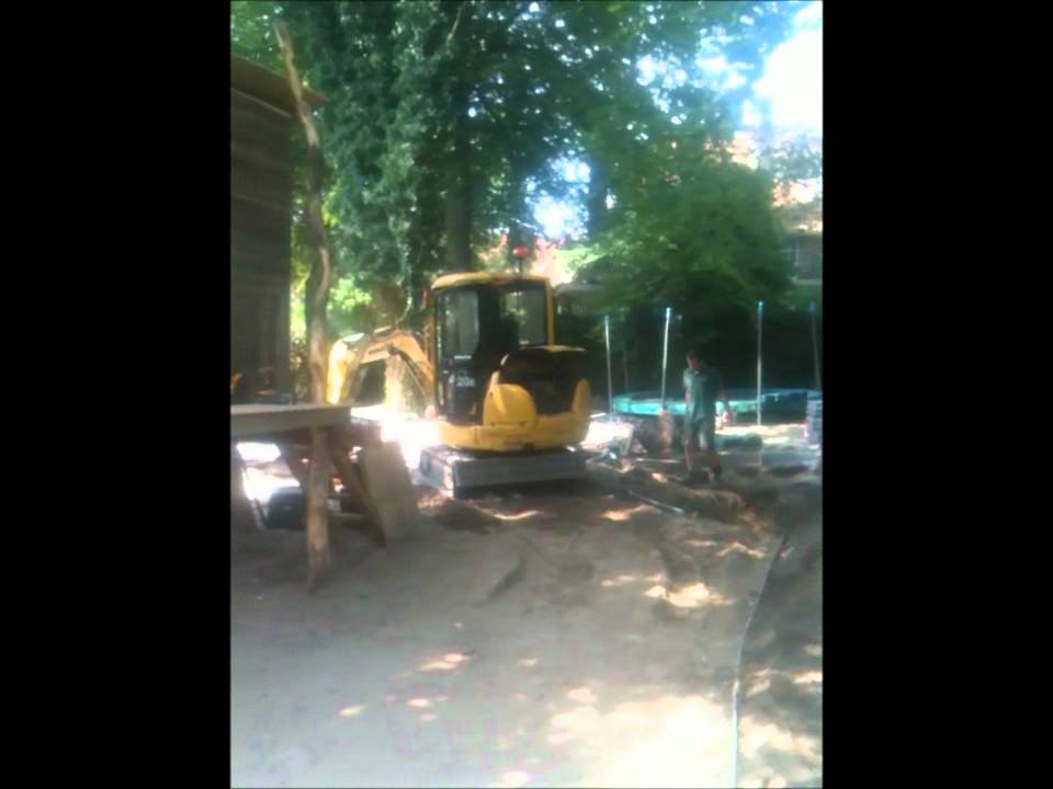 Boomhuit in stadstuin Arnhem