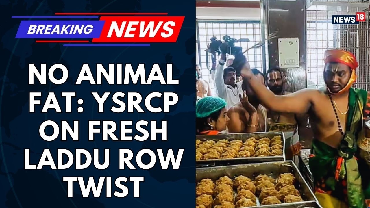 YSRCP Chief Says No Animal Fat Found In Laddu Amid Ongoing Row | Fresh Twist In &lsquo;Laddu&rsquo; Controversy