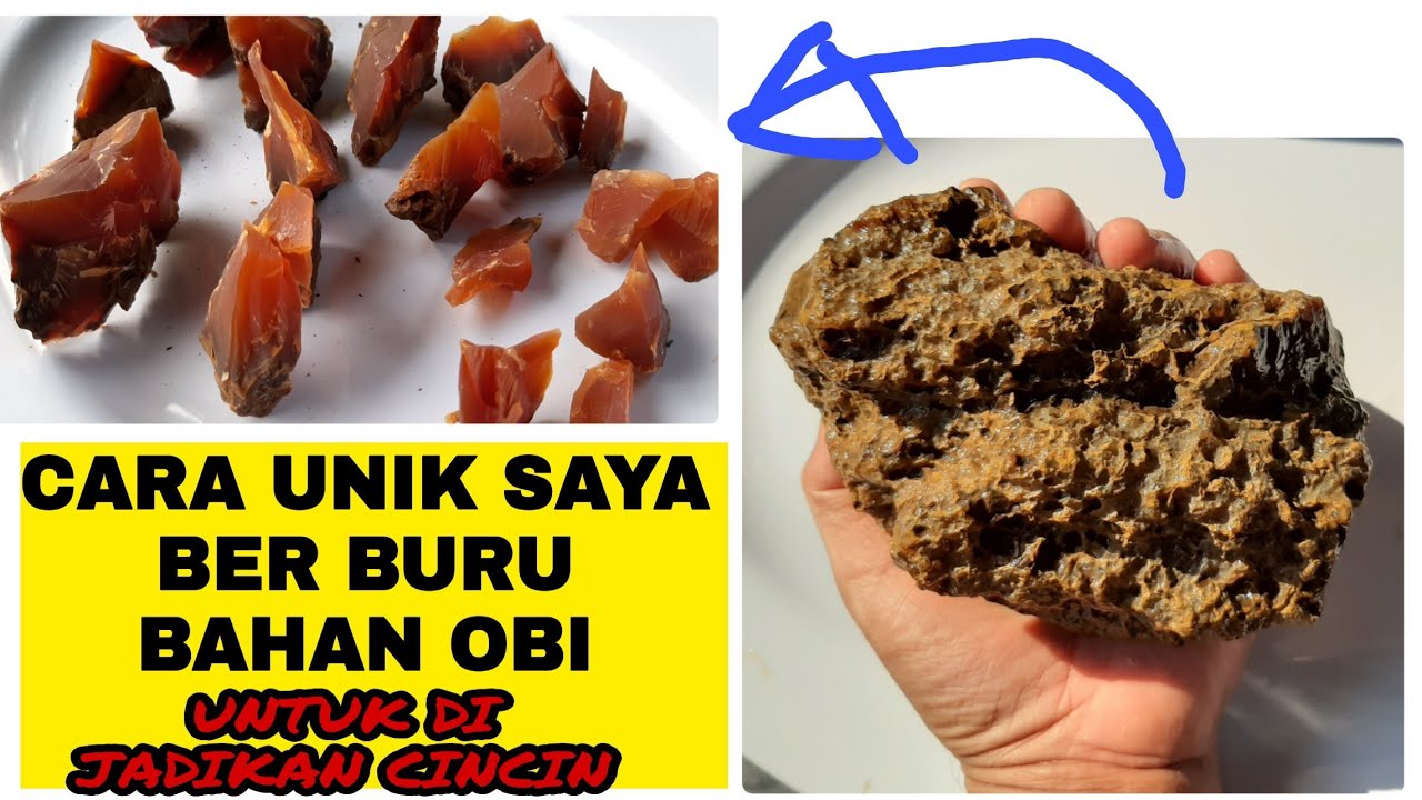 BERBURU OBI MERAH. PAKAI TEKNIK UNIK . CARA SAYA😁🙏