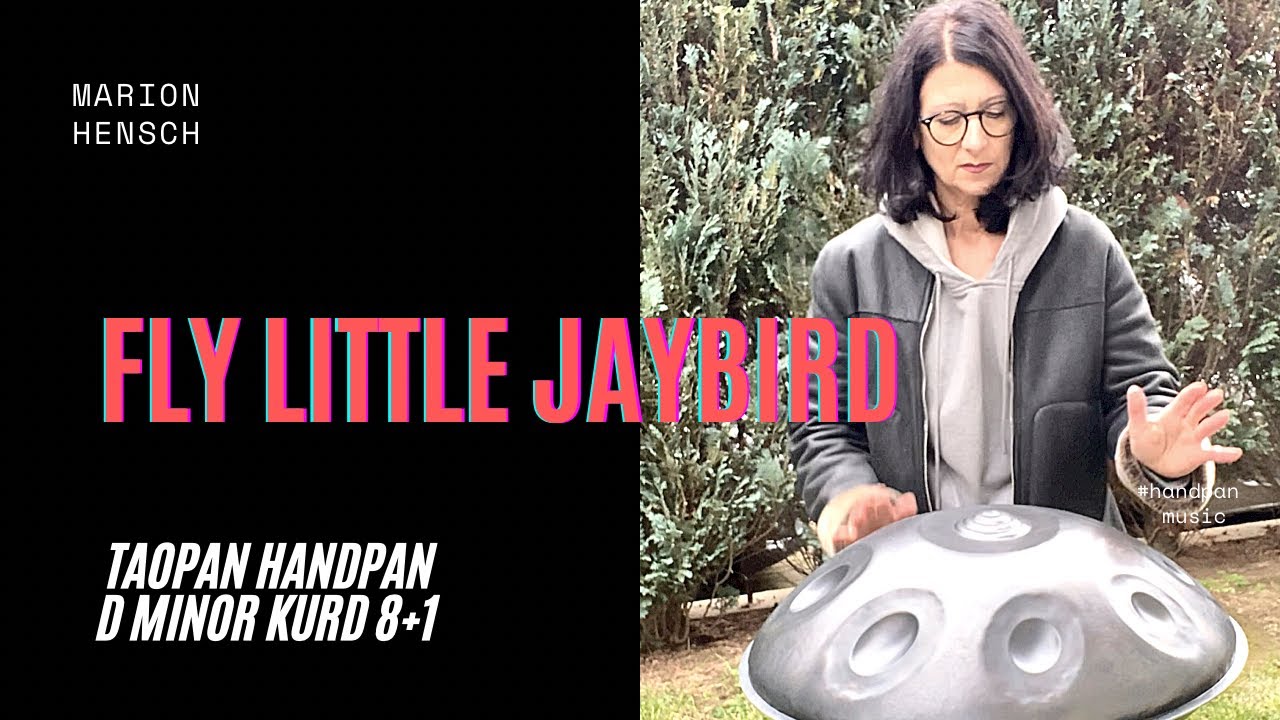 Handpan Healing Music | Taopan Handpan D Minor Kurd 8+1 #handpanmusic #handpanworld #handpan
