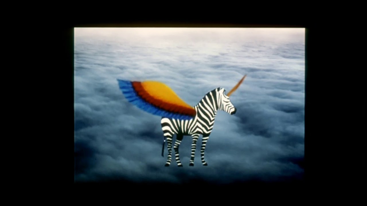 Studio Filmowe ZEBRA (1999)