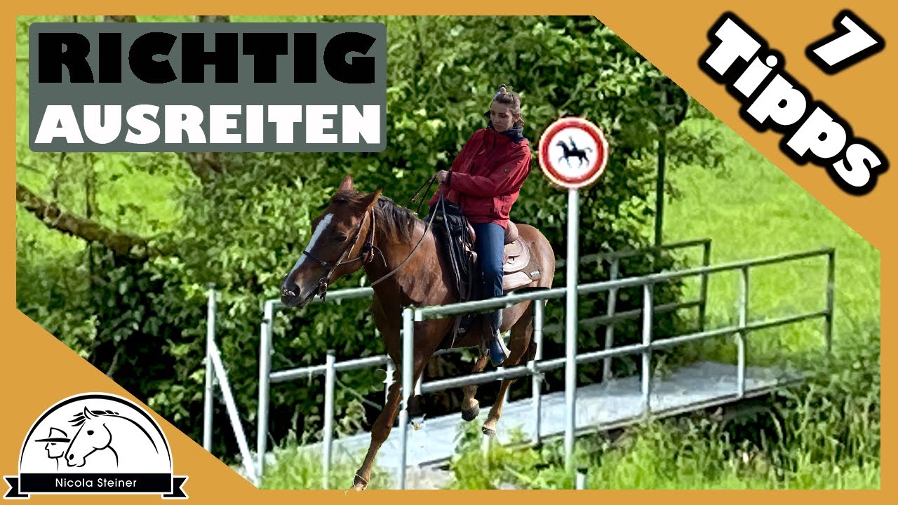 Fancy macht einen Satz - Ich gebe Tipps zum Ausritt & verirre mich auf dem Weg zur Kutschensegnung