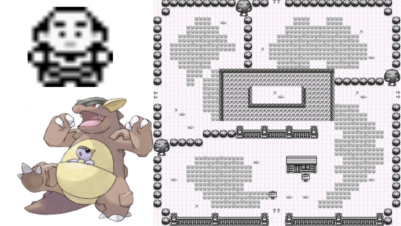 Pokemon Giallo - Parte 15 - La casa segreta nella Zona Safari